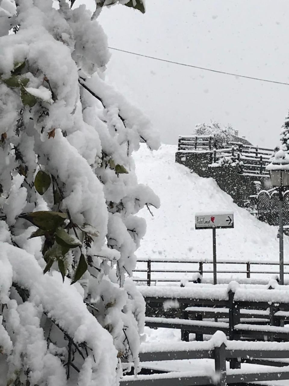 Affittacamere Petit Coeur Champoluc Exteriér fotografie